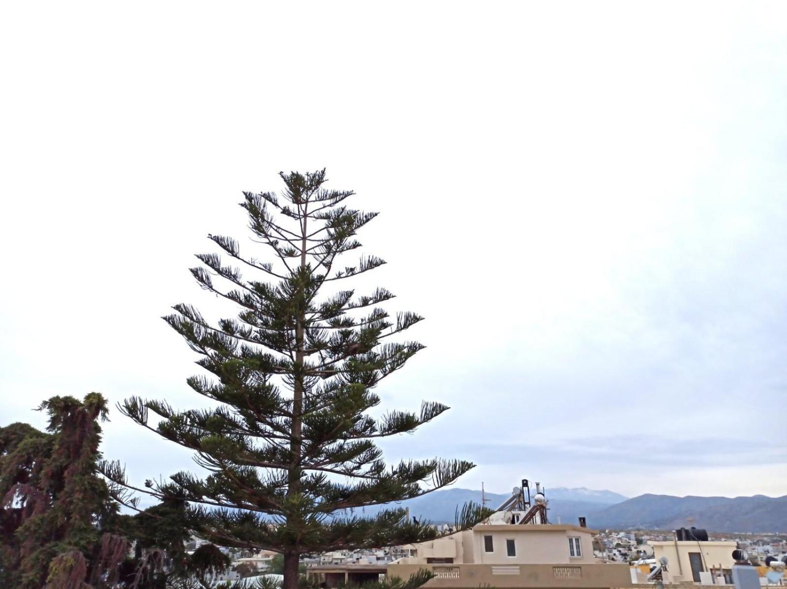 Renovated Loft Near The Center Apartment Heraklion Exterior foto